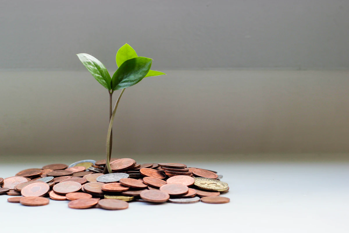Coins with a growing plant - planning adjuster income